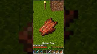 minecraft is disgusting