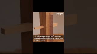 This technique allows a carpenter to fit wooden beams together without a single screw or glue.😲🔥