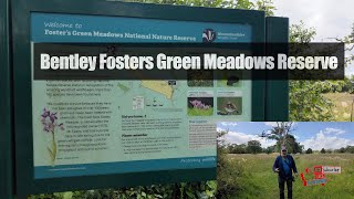 Bentley Fosters Green Meadows Nature Reserve