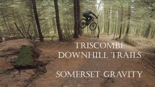 SOMERSET GRAVITY - TRISCOMBE DH TRAILS