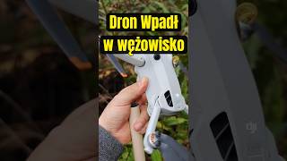 Dron uderzył o drzewo.#djiglobal #drony #chiny