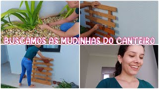 CUIDANDO DO JARDIM, PODA DE MANUTENÇÃO, LUCAS ENVERNIZOU O PALLET |Amanda Maria