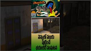 పొలిమేర  Real Horror Story in Telugu | polimera Real Ghost Experience | Animals Horror Stories _ 01