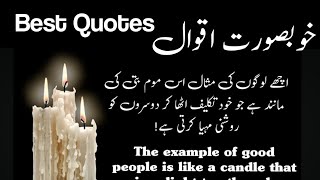 Wonderful & Heart Touching Words | Golden Words in Urdu wit English Translation | Shameer Quotes