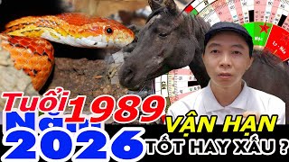 Xem Vận Hạn Tuổi Kỷ Tỵ 1989 năm 2026 RA SAO ?  Phong Thủy 100 Năm