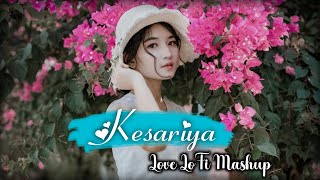 Kesariya Love LoFi Mix | Arijit Singh | Hindi Lofi Mashup