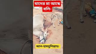 মা পৃথিবীর সবচেয়ে বড় সম্পদ। মায়ের মতো আপন কেউ হয়না। #challenge #everyone #viral_video