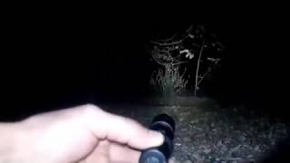 Solarforce L2T XP L V3 OP LED Flashlight used in the forest