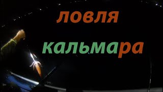 Ловля кальмара,  Русский остров мыс вятлина Приморский край 2020.