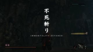 Sekiro: Shadows Die Twice Double Ape