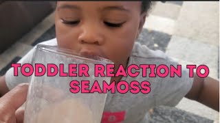 *so cute* Baby Drinking SEAMOSS For The First Time