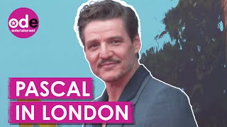 Pedro Pascal Graces the Red Carpet at 'The Wild Robot' Premiere!