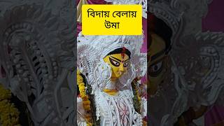 Bijaya Dasami | Kolkata Durga Puja | দেবী দুর্গা বরণ #দুর্গাপূজা  #kolkatadurgapuja  #durgapuja