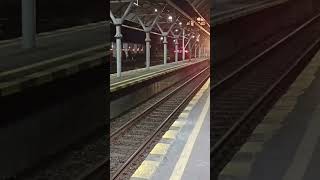 Ketemu puong lodaya di stasiun yk