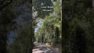 #looproad #yercaud #ashortaday #viral #travel #trendingshorts #nature #road #scenic #family #fun