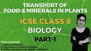 Transport of Food & Minerals in Plants | ICSE Class 8 Biology | Part - 1