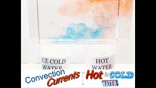 Convection Currents 2 with hot and cold water Experiment (Convection currents demonstration)