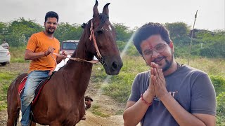 शक्ति ने हमारे दोस्त को जमीन पर गिरा दिया😱😱😱#baawalechorevlogs #shakti #baawalechorecows #horsevlog