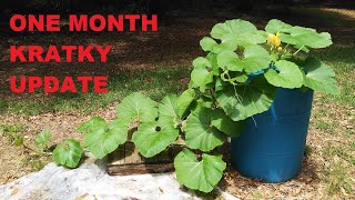 ONE MONTH KRATKY UPDATE