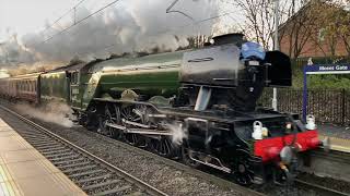 Flying Scotman - Steam Trains on the Mainline