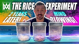 The rice experiment after 2 years! What can we learn from it?