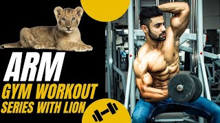 Best Arm Workout For Mass with a Lion - Sets And Reps Included!