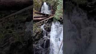 Ranger Falls - Mt. Rainier National Park Carbon River entrance 1 January 2024