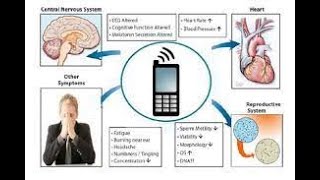 The True ‘Tech-Gyan’ behind EnviroChip