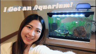 I Got an Aquarium | How to set up and more!!