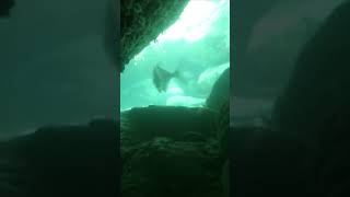 Fishy cave