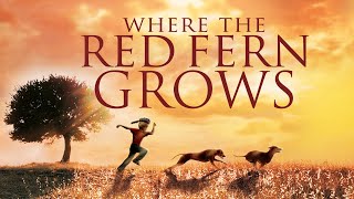 Where The Red Fern Grows - Full Movie | Family Drama | Great! Hope