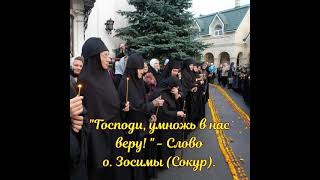 "Господи, умножь в нас веру!" - Слово схиархимандрита Зосимы (Сокур).