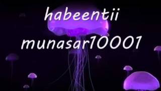 ABDI DIINI 2010 LYRICS (BAGA BAGAA}