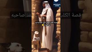 قصة الكلب الوفى الذى أنقذ صاحبه من الموت فى البئر🤍