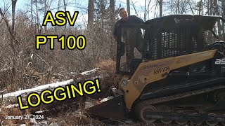 Logging and Skidding with (Bess) ASV PT-100 Multi Terrain Loader