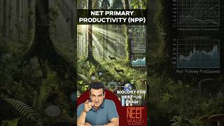 Net Primary Productivity (NPP) | Ecology |  Class 12th | NEET Biology | #neet #biology