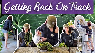 A Day In My Unemployed Planty Life | Plant Chores, Organizing, and Spring Cleaning