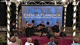 Virgen de la Paz - ESENCIA FLAMENCA - Pedro Morales Muñoz