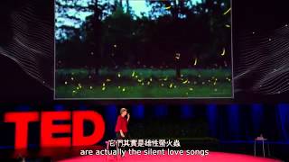 TED 中英雙語字幕:  螢火蟲的愛與謊言