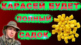 Насадка для рыбалки на КАРПА, КАРАСЯ, ЛЕЩА. Клёв карася всю осень и август.