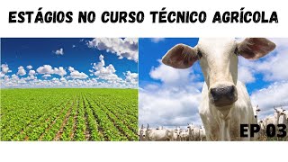 #DICAS - Técnico Agrícola. EP03, Estágios!