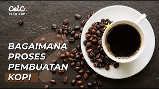 PROSES PASCA PANEN FULLWASH KOPI PUNTANG [PEMETIKAN-PENGOLAHAN-PENYANGRAIAN-PENYEDUHAN]