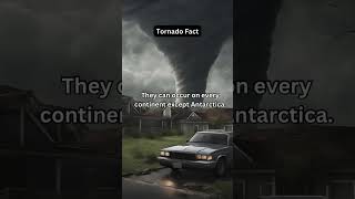 Tornado Fact🌪️😱👀| did you know?#tornado #daily #dailyfacts