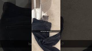 Guess who wears the trousers in this relationship| Hilarious | #shorts #fun #britishshorthair #funny