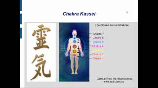 REIKI ONLINE CLASE 3 4_6.wmv