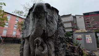 Rotonda, cittadina della Basilicata, naturale porta di ingresso al Parco Nazionale del Pollino