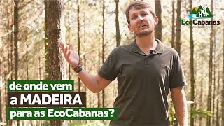 De onde vem a madeira para as EcoCabanas?