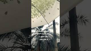 المطر رساله حب من الله الى خلقه..🤎