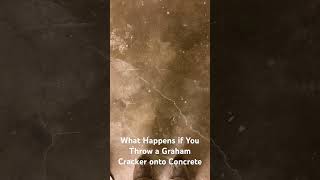 What Happens if You Throw a Graham Cracker onto Concrete?