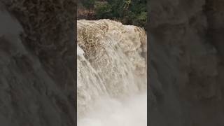 One of the massive waterfall in India 😯😯#shorts #waterfall #gokak